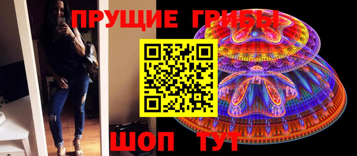 Новозыбков  Галлюциногенные грибы Cubensis  Вход с VPN  даркнет сайт  Галлюциногенные грибы Cubensis 